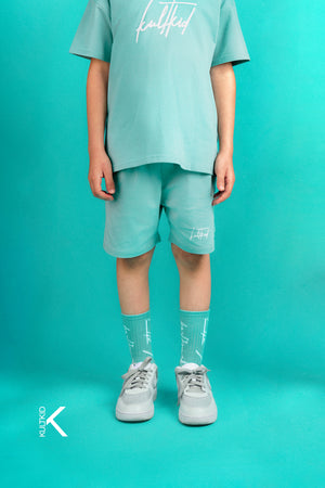 Loose Fit Shorts with Resistain® in Mint